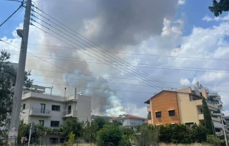 Σύλληψη 80χρονου Εμπρηστή στα Γλυκά Νερά: Έβαλε από Πρόθεση Τέσσερις Φωτιές
