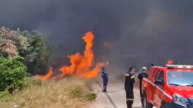 Τι είναι οι Μεγαπυρκαγιές και πως θα τις νικήσει η Ελλάδα;