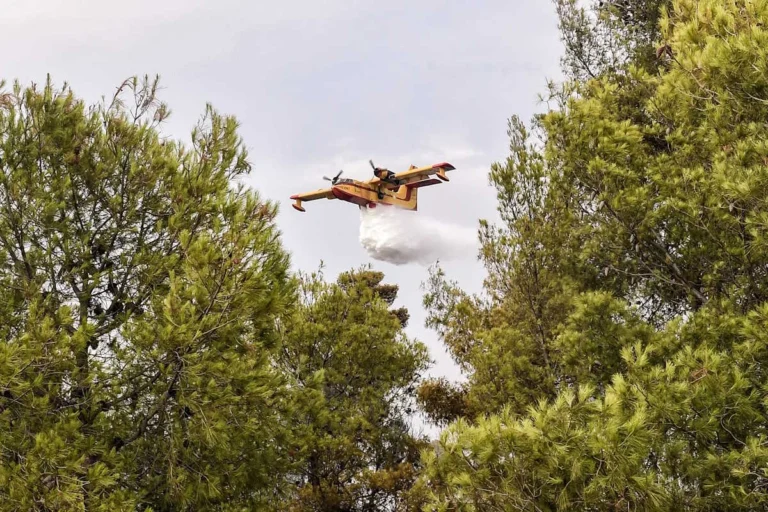 Φωτιά σε δάσος στις Μέσες Θέρμες
