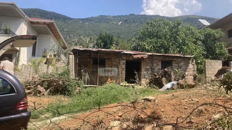 Ενώπιον της δικαιοσύνης ο 38χρονος που πυροβόλησε και σκότωσε την θεία του