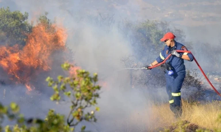 Καβάλα: Συναγερμός για φωτιά σε δασική έκταση κοντά στον οικισμό της Νέας Περάμου- Σηκώθηκαν δύο αεροσκάφη – Βεργίνα Τηλεόραση
