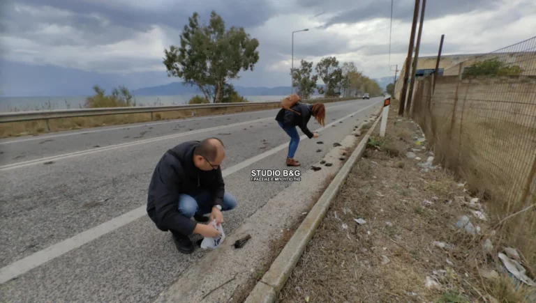Αργολίδα: Εκατοντάδες νεκρά πουλιά στην παραλιακή Ναυπλίου