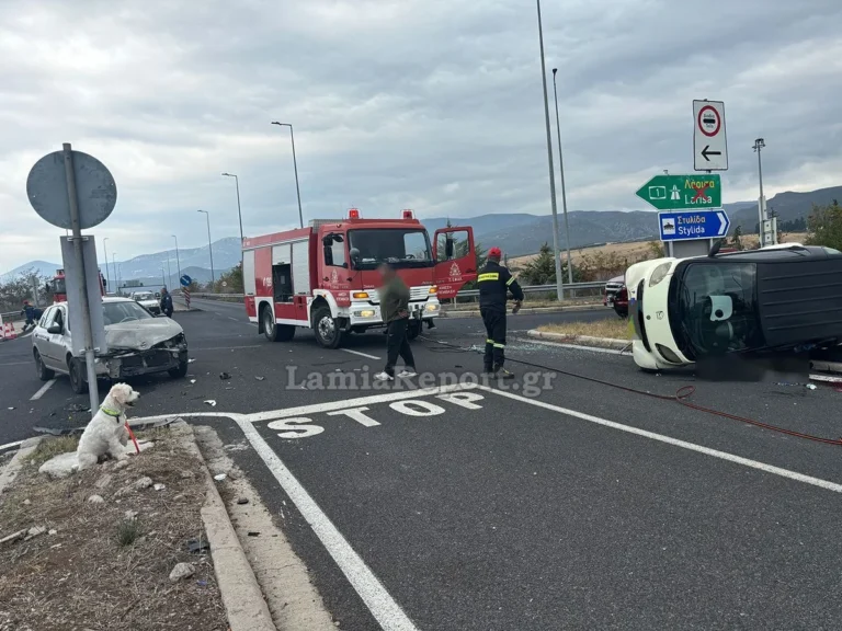 Τι απέγινε το σκυλάκι του 54χρονου νεκρού οδηγού που περίμενε δίπλα στο τροχαίο