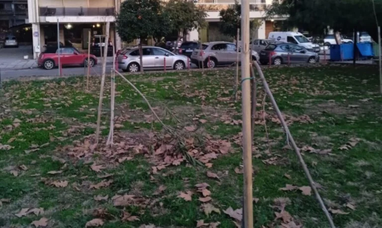 Θεσσαλονίκη: Άγνωστοι έσπασαν τα νέα δέντρα που φυτεύτηκαν στη Νέα Παραλία