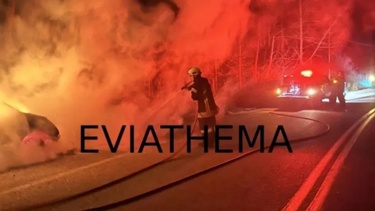 Εύβοια: Αυτοκίνητο τυλίχθηκε στις φλόγες