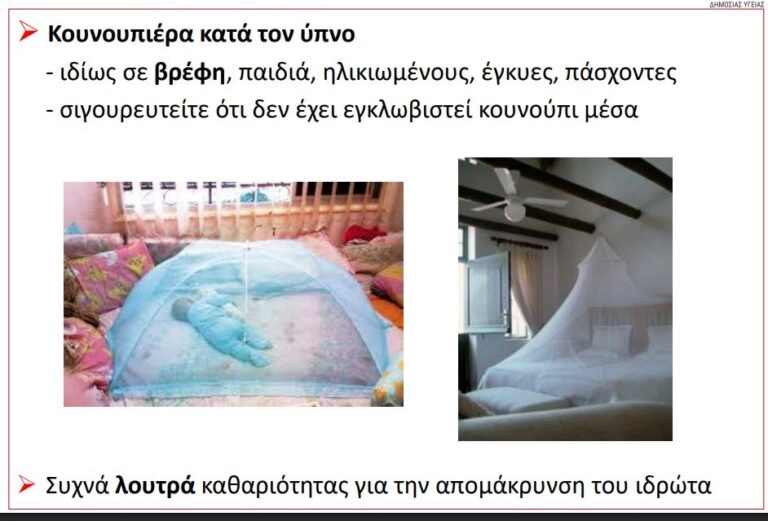 Κουνούπι τίγρης όλο το χρόνο; Η υπερθέρμανση το ευνοεί – Πώς θα προστατευθούμε
