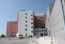 Άλογο τραυμάτισε 5χρονη σε παραλία