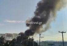 Μαίνεται η φωτιά σε εταιρία ανακύκλωσης στη ΒΙ.ΠΕ. Σίνδου – Ενισχύθηκαν οι δυνάμεις (video)