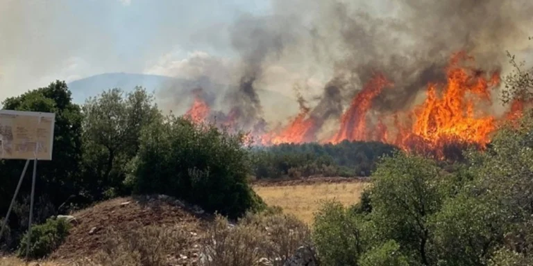Κύπρος: Καίγεται η Λεμεσός – Συνδρομή από Ελλάδα, Αίγυπτο και ΕΕ