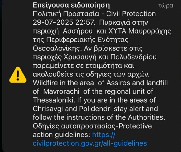 Θεσσαλονίκη: Μαίνεται το πύρινο μέτωπο στην Άσσηρο, ολονύχτια η μάχη με τις φλόγες