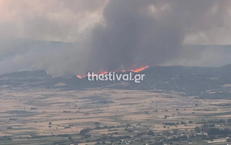 Σε ύφεση η φωτιά στην Άσσηρο Θεσσαλονίκης