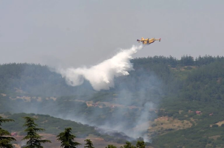 Πυρκαγιά σε φορτηγό μέσα σε δάσος στο Άγιο Όρος