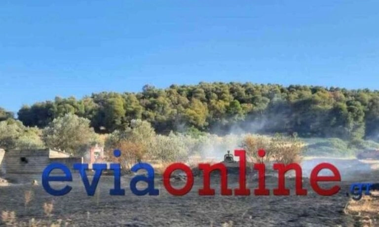 Φωτιά στον δήμο Διρφύων στην Εύβοια