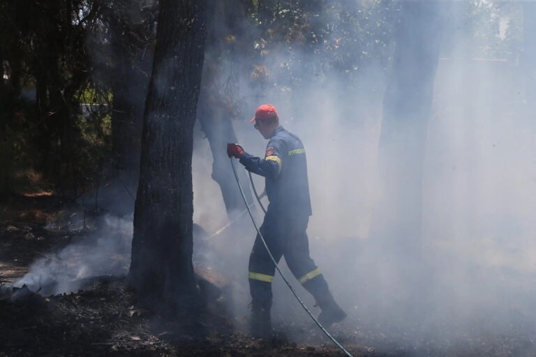 Συναγερμός στην Πυροσβεστική για φωτιά στη Γλυκή Θεσπρωτίας