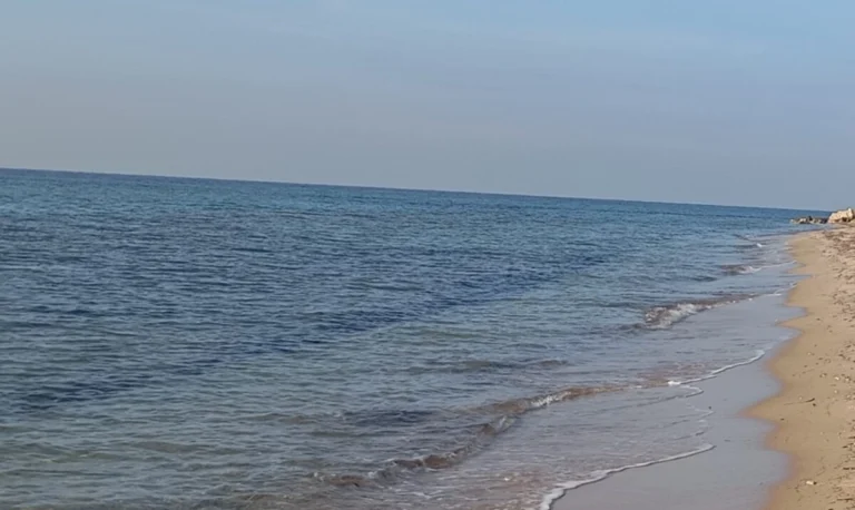Σαν την κατάντια της Χαλκιδικής δεν έχει…