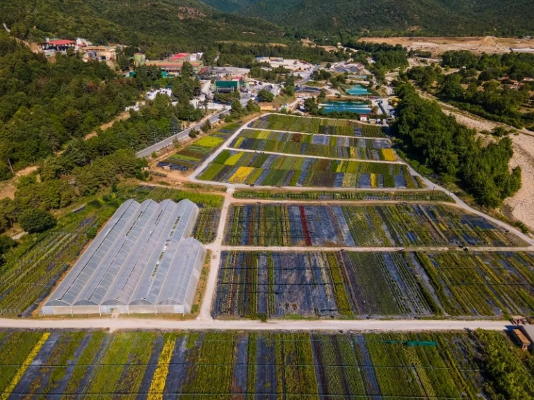 Υπεύθυνη μεταλλευτική δραστηριότητα στην πράξη: Το παράδειγμα της Ελληνικός Χρυσός