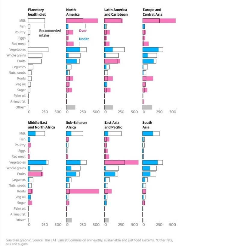 Η πλανητική διατροφή ως απάντηση στην κλιματική κρίση – Μπορεί να προλάβει 15 εκατ. θανάτους ετησίως