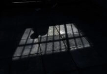 Αιματηρή συμπλοκή στις φυλακές Αγίου Στεφάνου – Στο νοσοκομείο κρατούμενος με τραύματα από αιχμηρό αντικείμενο