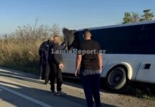 Σχολικό λεωφορείο έπεσε σε χαντάκι στη Λαμία