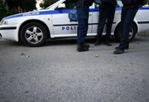 Πάτρα: 89χρονη συνελήφθη για τον θάνατο δύο κουταβιών