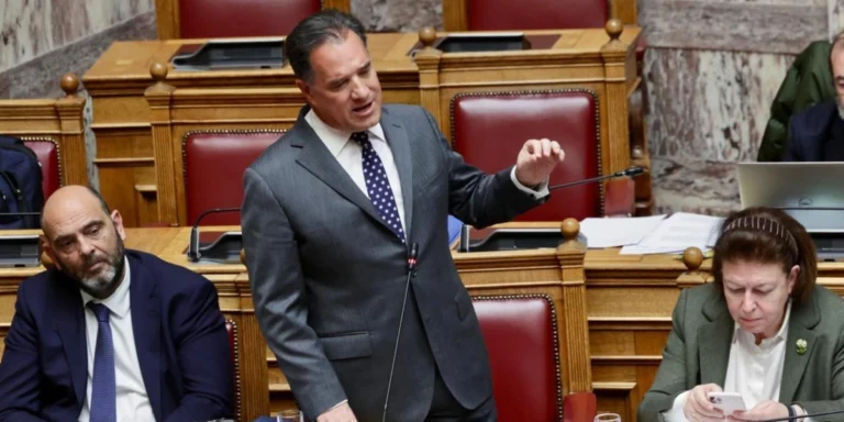 Άδωνις Γεωργιάδης για Όλγα Κεφαλογιάννη: Δεν είναι φωτογραφική διάταξη -Δεν είναι μεμπτό ένας υπουργός να κάνει χρήση της