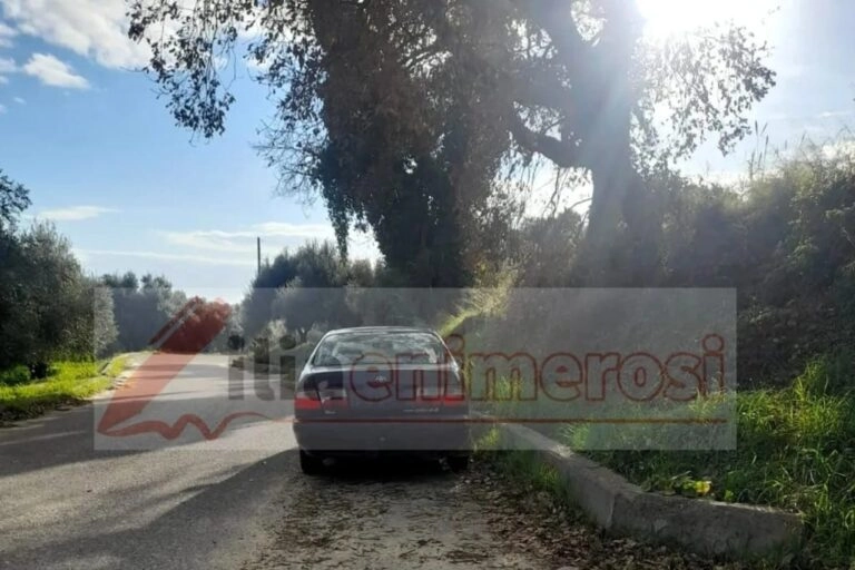 Νεκρός 79χρονος στην Ηλεία την ώρα που έκαιγε κλαριά