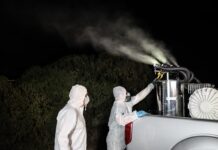 Ιός του Δυτικού Νείλου: «Καμπανάκι» από τον ΕΟΔΥ – Οι συστάσεις των ειδικών και τα συμπτώματα