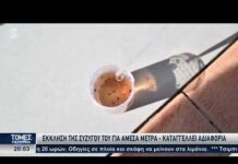 Μαρτυρία-σοκ για τον ιό του Δυτικού Νείλου: «Δεν μπορούσε να μου απαντήσει… νόμιζα πως έπαθε εγκεφαλικό»