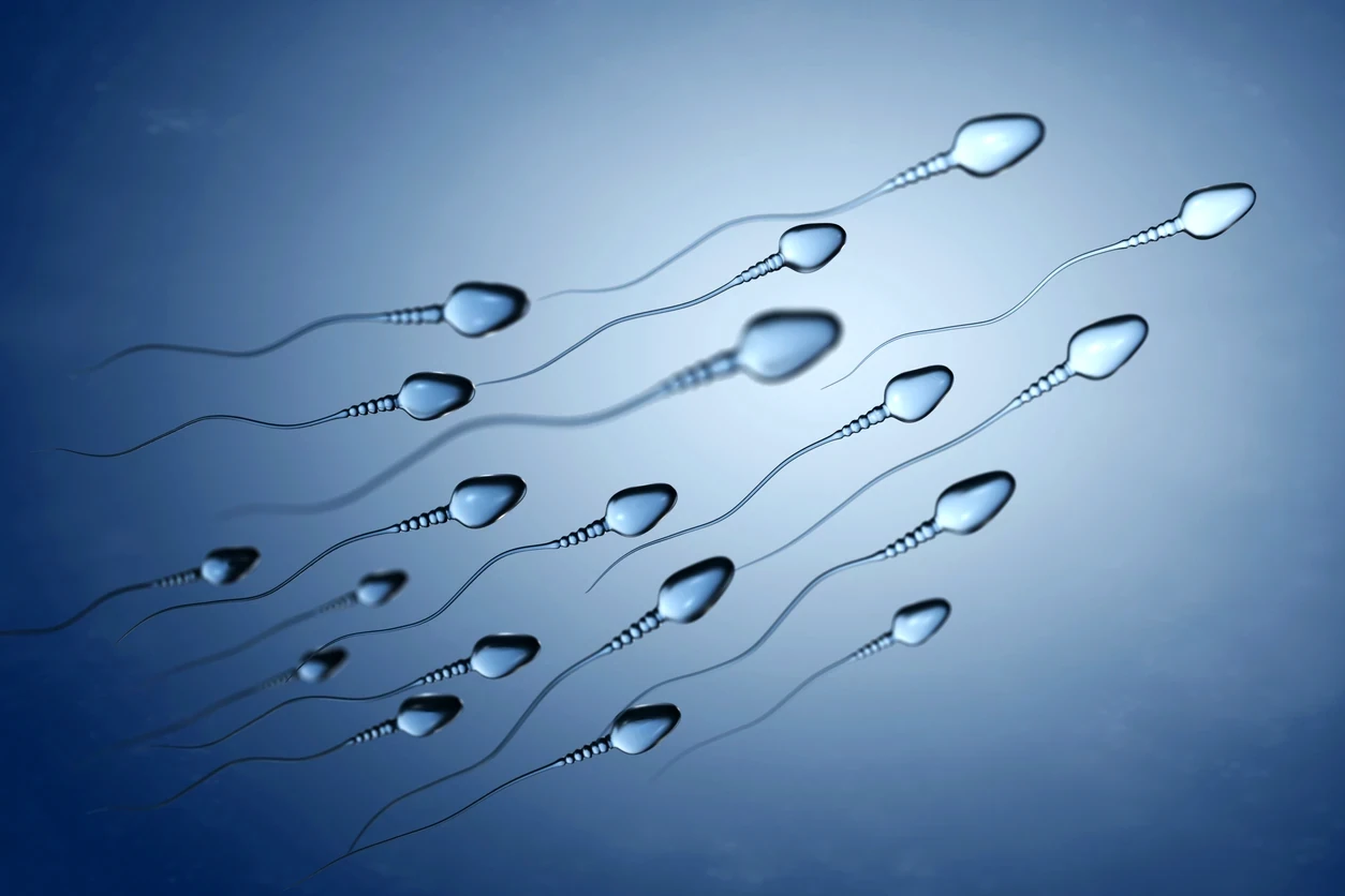 i-dania-egine-i-pagkosmia-protevousa-tou-spermatos-i-viomichania-ekatommyrion-kai-oi-kryfoi-kindynoi.webp