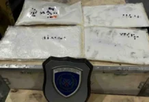 Ο σκύλος Μεζκάλ ξεσκέπασε κύκλωμα ναρκωτικών στο αεροδρόμιο