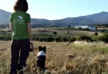 Θεσσαλονίκη: 54χρονη κρατούσε 212 ζώα σε τραγικές συνθήκες στη Θέρμη